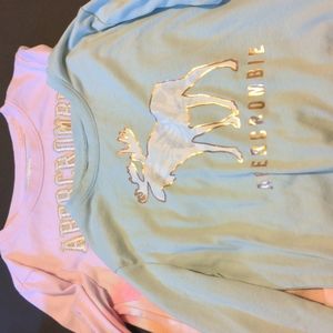 Abercrombie long sleeve ts